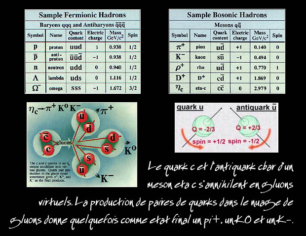 baryons et msons